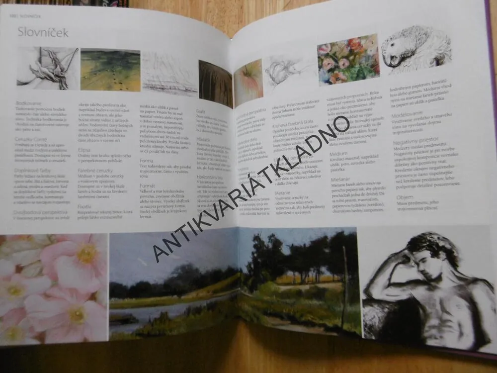 KRESBA, ÚVODNÍ KURS, JEDNODUCHÉ KROKY K ÚSPĚCHU, **an