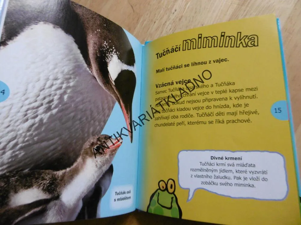 TUČŇÁCI, ÚŽASNÝ SVĚT, 