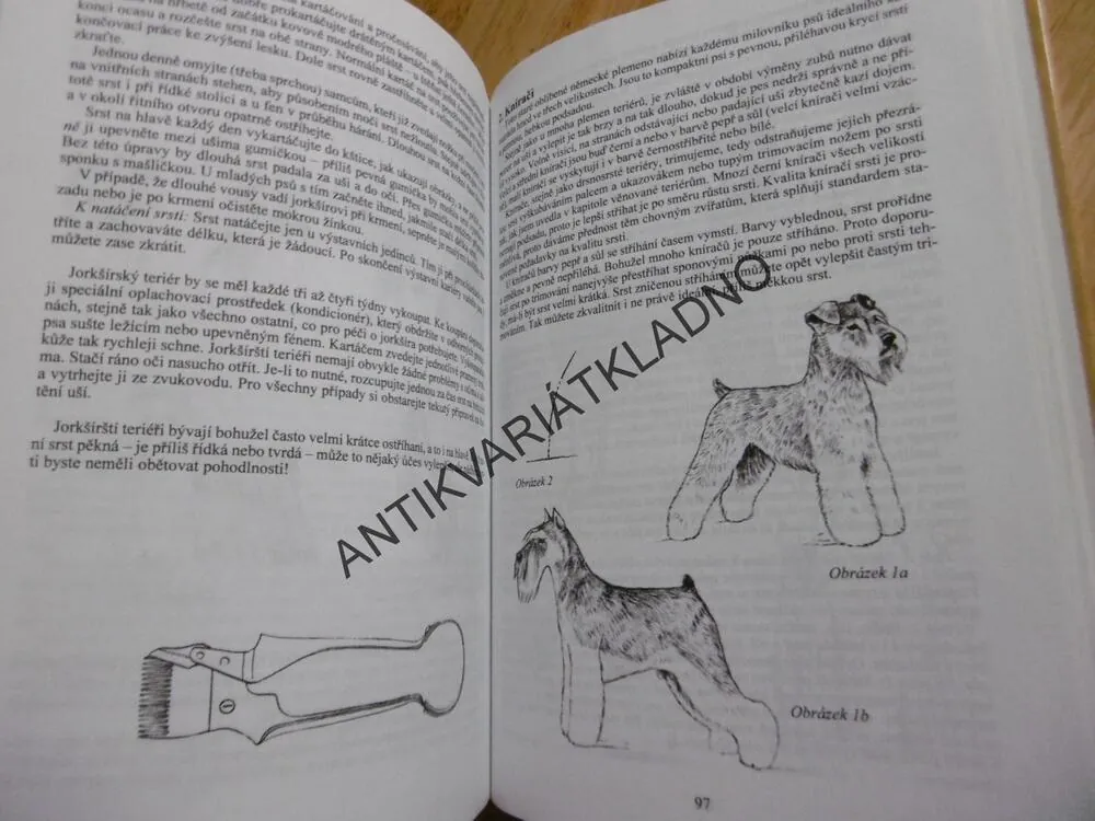 STŘÍHÁNÍ A TRIMOVÁNÍ PSŮ, RENATE DOLZOVÁ, PES, 