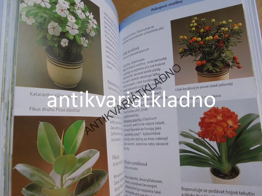 PRŮVODCE PŘÍRODOU- JEDOVATÉ ROSTLINY A ŽIVOČICHOVÉ