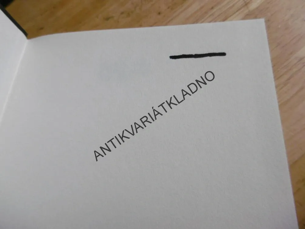 KRÁLOVNA HEDVÁBNÉ STEZKY, AGNES IMHOFOVÁ, **an