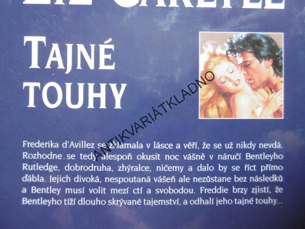 TAJNÉ TOUHY, LIZ CARLYLE