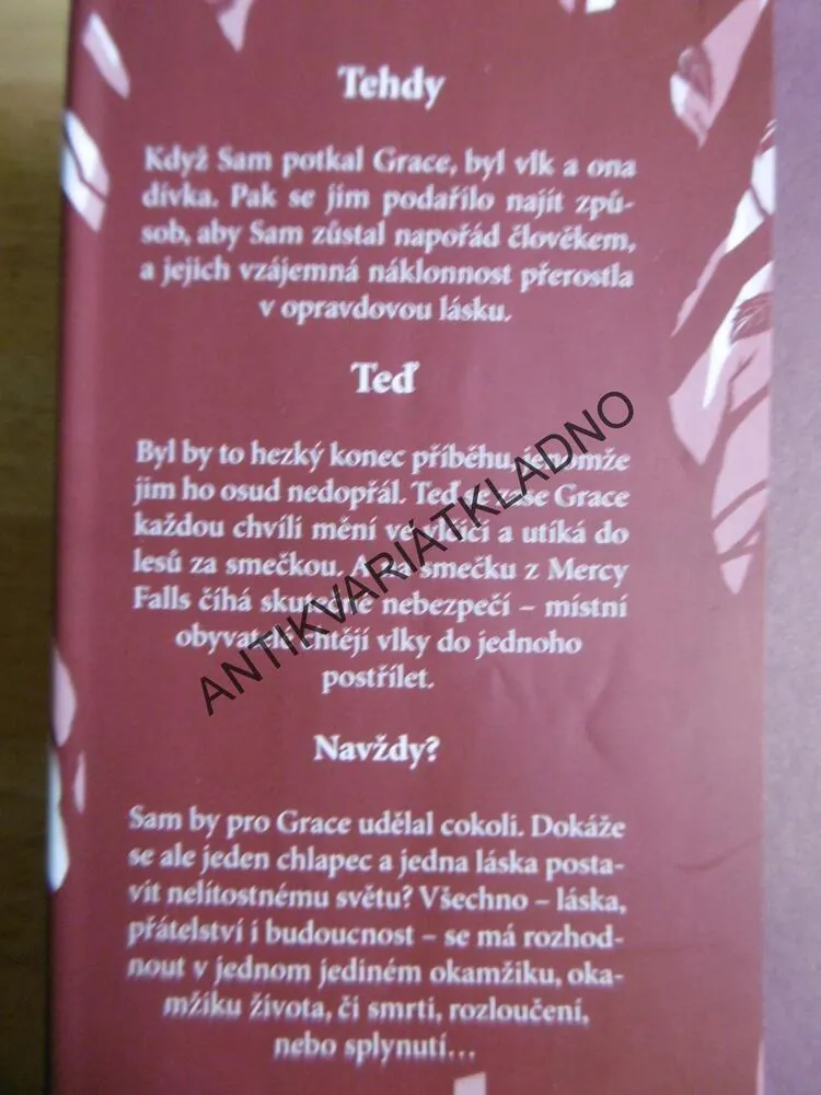 SPLYNUTÍ, MAGGIE STIEFVATEROVÁ