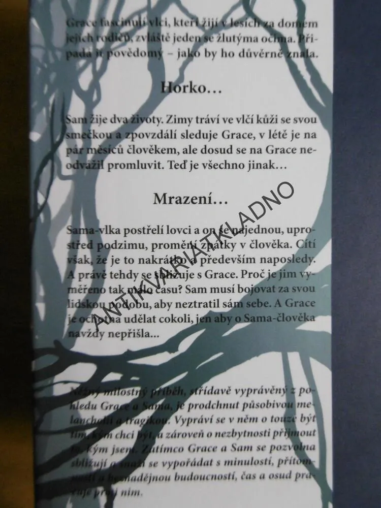 MRAZENÍ, MAGGIE STIEFVATEROVÁ