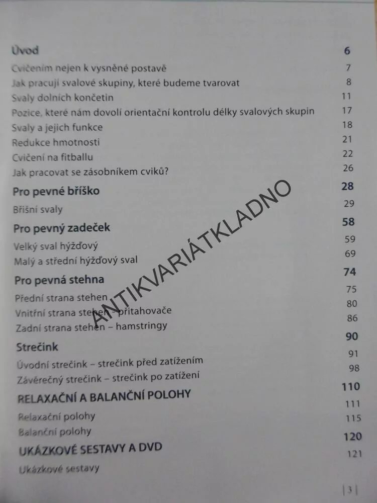 CVIČÍME NA VELKÉM MÍČI, SEXY POSTAVA I BEZ POSILOVNY