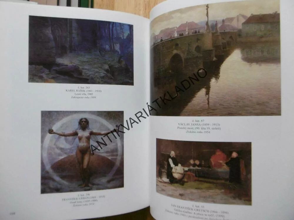 ČESKÉ MALÍŘSTVÍ 19.STOLETÍ VE SBÍRCE ZÁPADOČESKÉ GALERIE PLZEŇ