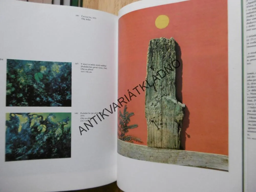 MAX ERNST, **an