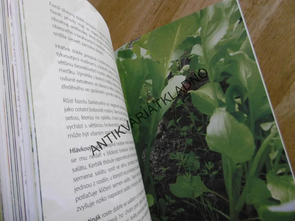 NEPŘÍTEL NEBO SPOJENEC, VZÁJEMNÉ OVLIVŇOVÁNÍ ROSTLIN, BOB FLOWERDEW, **an