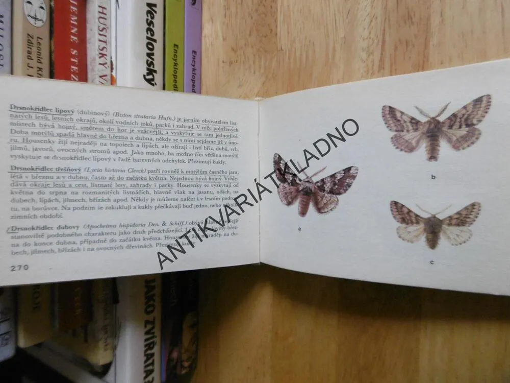 NAŠI NOČNÍ MOTÝLI, MOUCHA, ZAHRADNÍK, VANČURA, EDICE OKO 40, **an