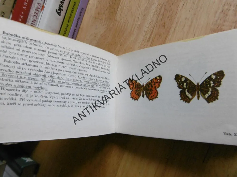 NAŠI DENNÍ MOTÝLI, MOUCHA,CHOC, EDICE OKO 35, **an