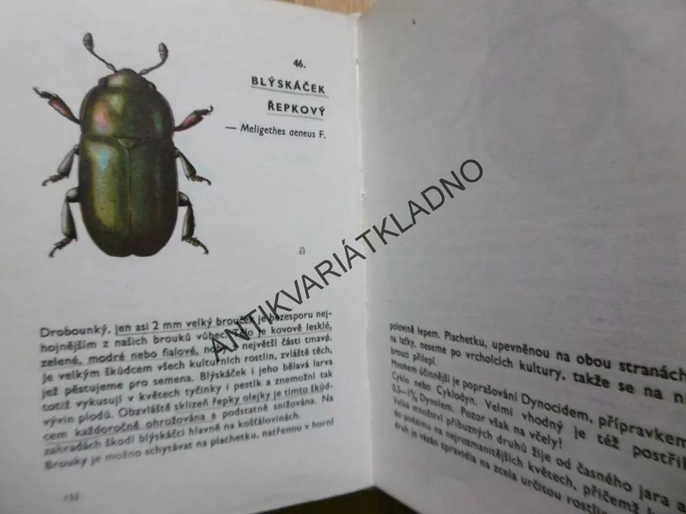 KAPESNÍ ATLAS BROUKŮ, S URČOVACÍM KLÍČEM, 1968, JAVOREK, **an