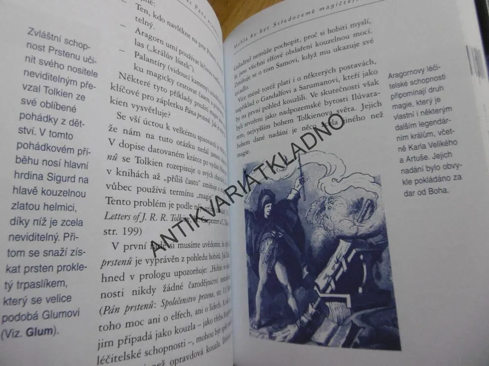 KOUZELNÝ SVĚT PÁNA PRSTENŮ, DAVID COLBERT,