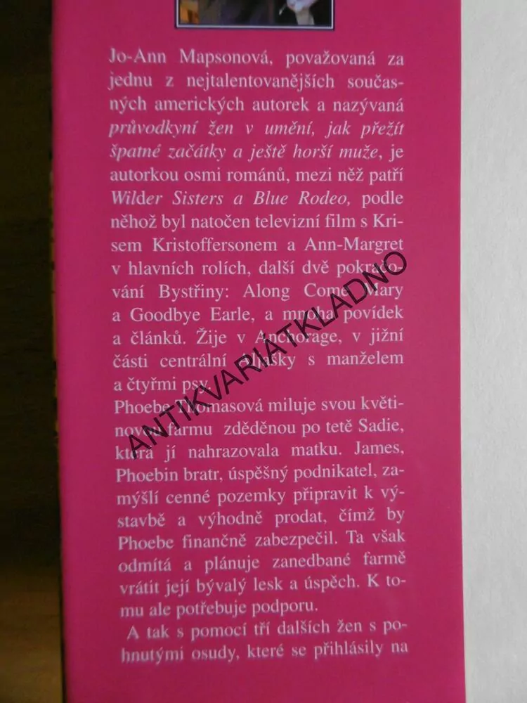 BYSTŘINA ZLOMENÝCH SRDCÍ, JO-ANN MAPSON, **an