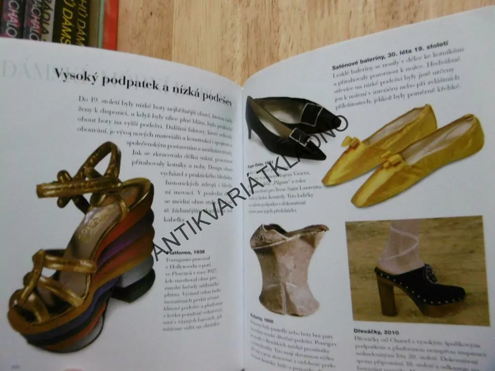ABECEDA MÓDY, RYCHLOKURS V POROZUMĚNÍ MODNÍM STYLŮM, FIONA FFOULKES