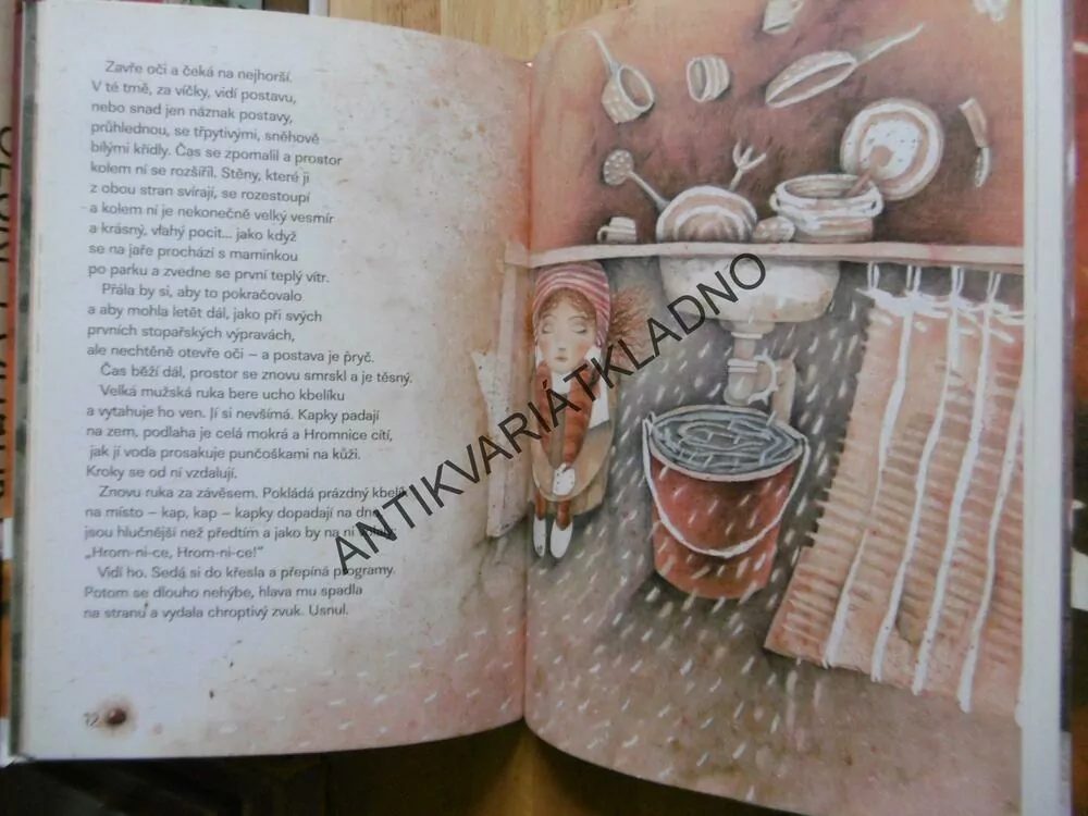 HROMNICE ANEB PŘÍBĚH TAJEMNÉ STOPAŘKY, EVA PRCHALOVÁ, ZUZANA SEYE, **an