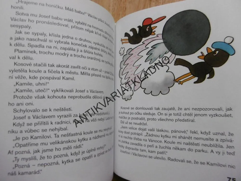 KOSÍ BRATŘI, LUDVÍK STŘEDA, IVO ŠEDIVÝ, **an
