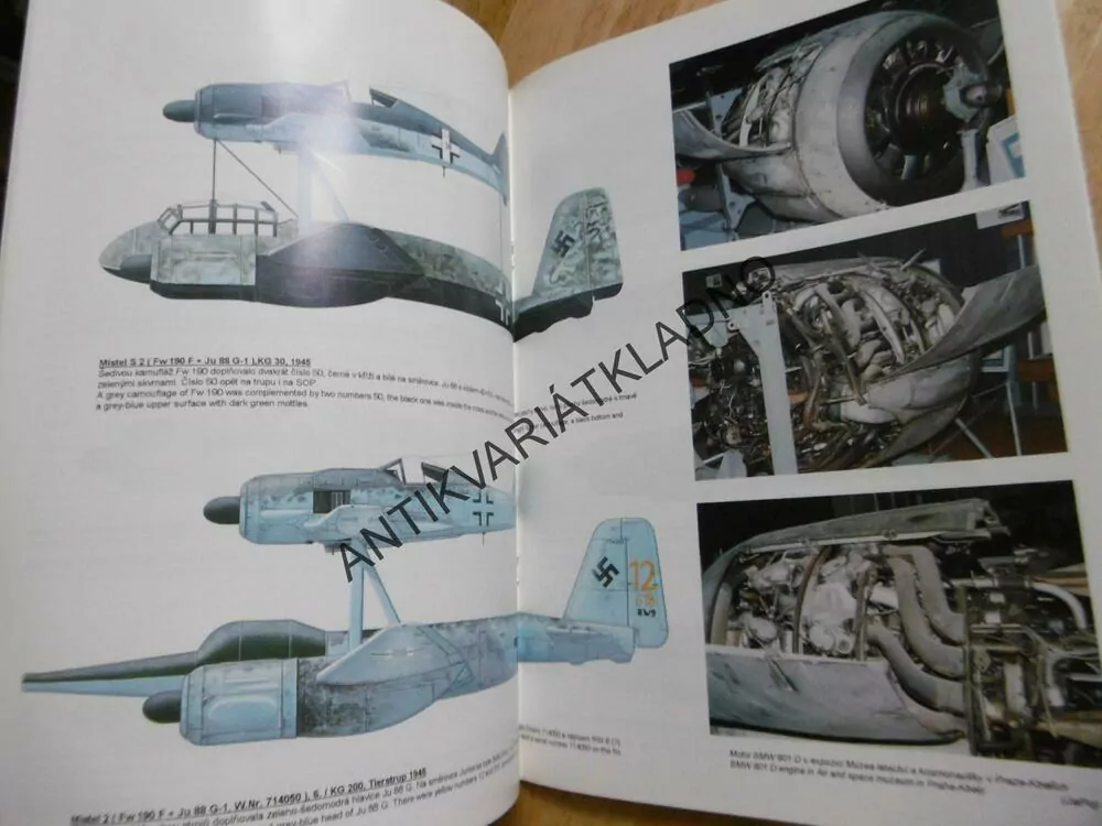 FOCKE-WULF FW 190 F,G