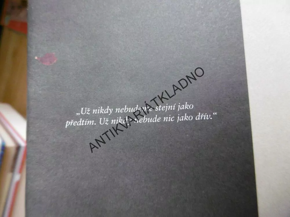 DEVÁTÝ DOTEK, MIRKA ŠIMKOVÁ
