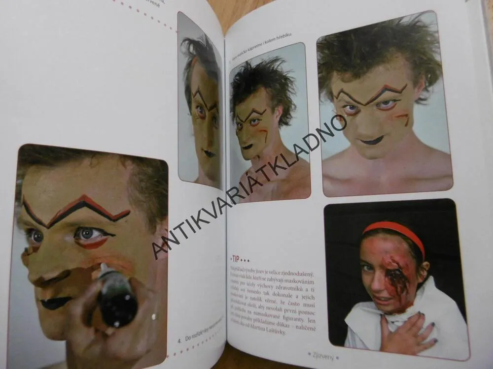 MALOVÁNÍ NA OBLIČEJ PRO DĚTI I DOSPĚLÉ, VÝTVARNÉ TECHNIKY, BRÝDOVÁ, **an