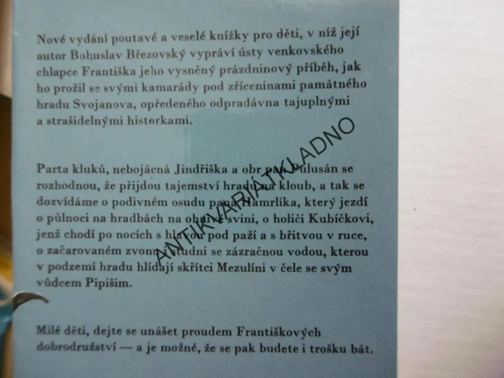TAJEMNÝ HRAD SVOJANOV, BOHUSLAV BŘEZOVSKÝ, VÁŠA