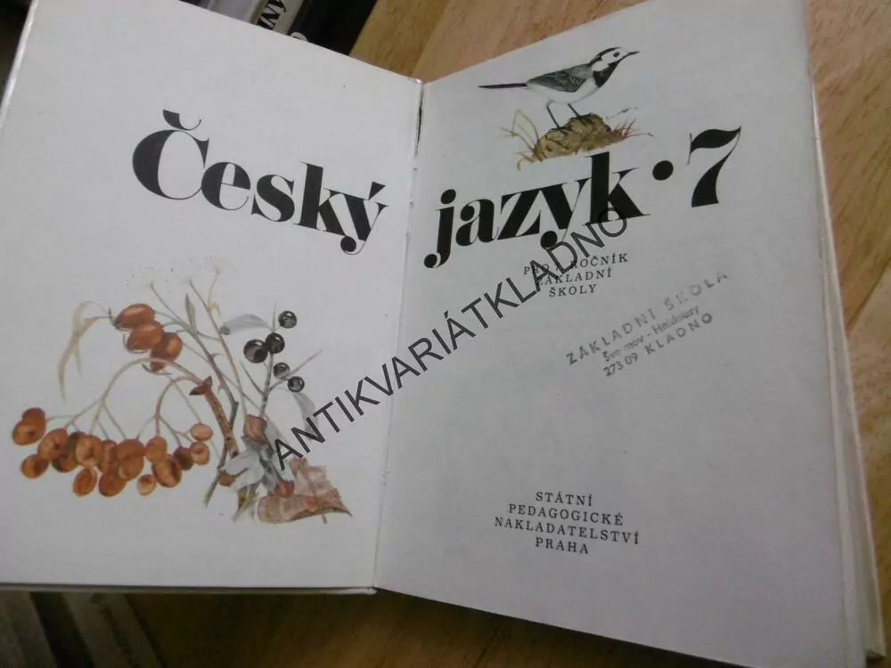 ČESKÝ JAZYK, PRO 7. ROČNÍK ZÁKLADNÍ ŠKOLY