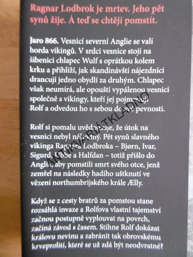 VIKINGOVÉ, POMSTA SYNŮ, LASSE HOLM, 2019, **an