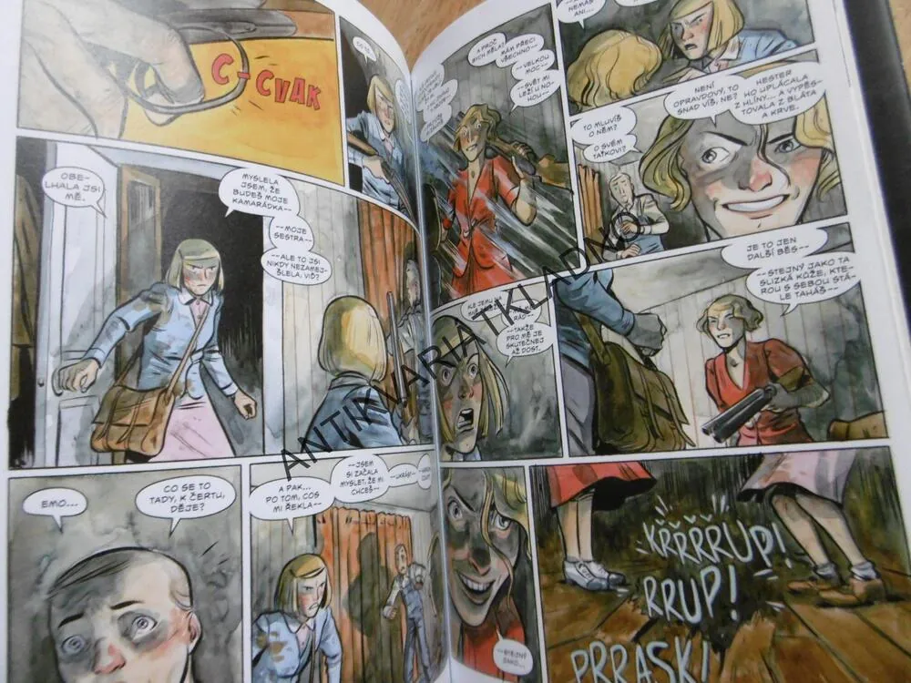 POCHMURNÝ KRAJ, ZRCADLENÍ, CULLEN BUNN, TYLER CROOK, KOMIKS