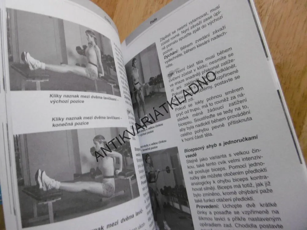 KULTURISTIKA PRO ŽENY, FORMOVÁNÍ POSTAVY SVALOVÝM TRÉNINKEM, WANGHOFER