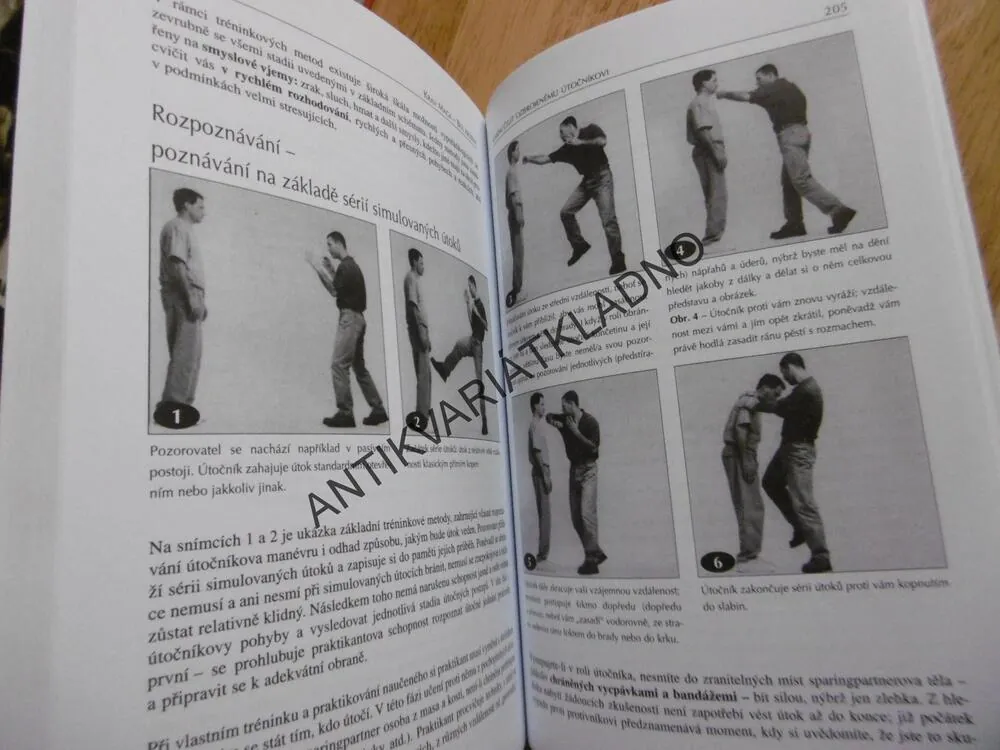 KRAV MAGA, UMĚNÍ ČELIT OZBROJENÉMU ÚTOČNÍKOVI, EYAL YANILOV