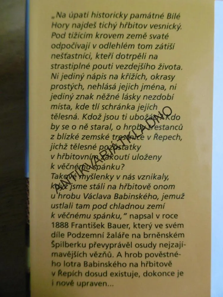 PRAHOU S OTEVŘENÝMA OČIMA,3., IVANA MUDROVÁ,