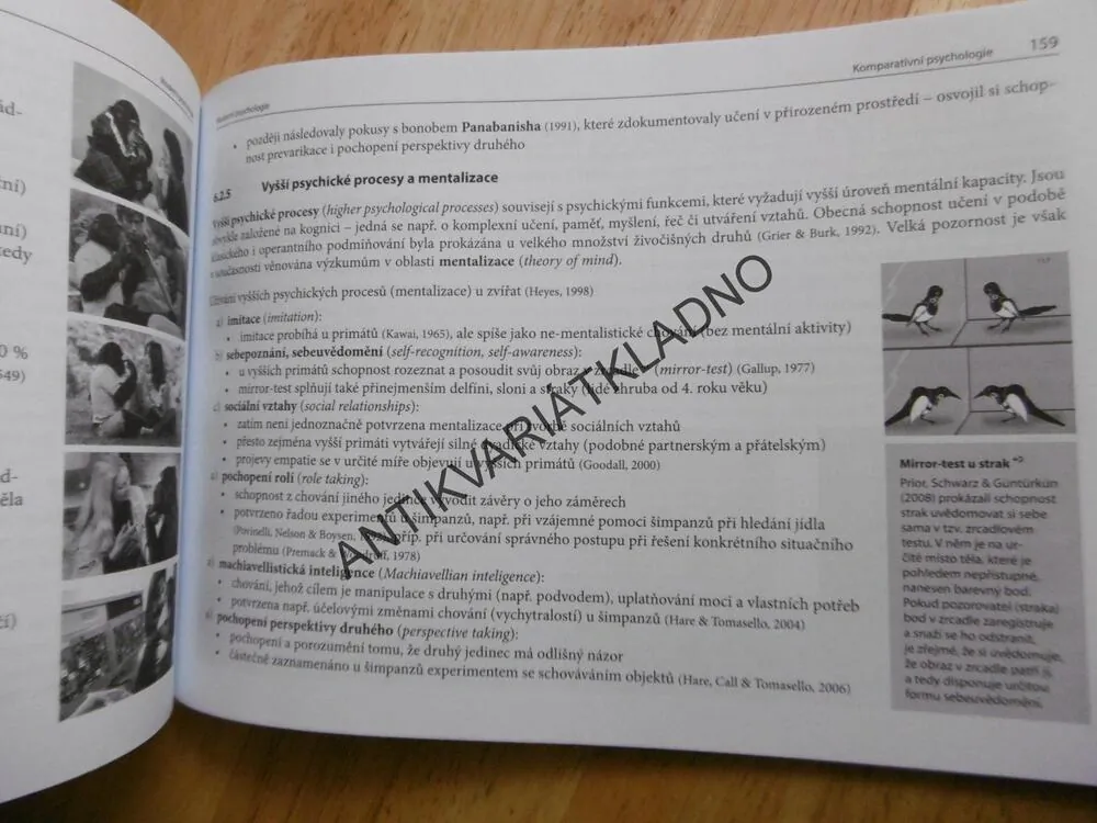 MODERNÍ PSYCHOLOGIE, DALIBOR KUČERA