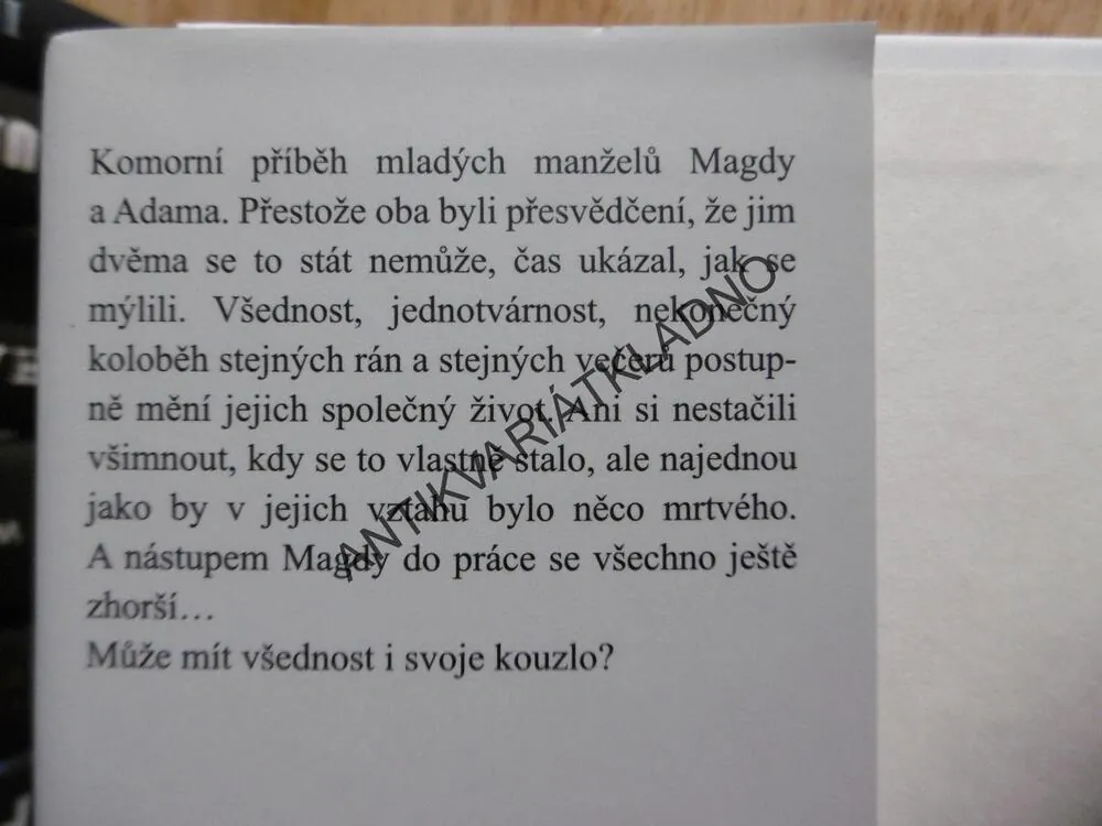 KOUZLO VŠEDNOSTI, TÁŇA KELEOVÁ-VASILKOVÁ, 