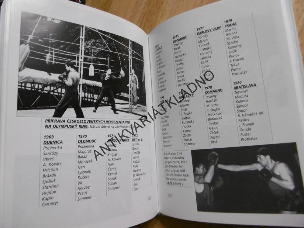 ZLATÉ RUKAVICE,ČERNOCH, HÁJEK, KALÁT,SPORT BOX, 