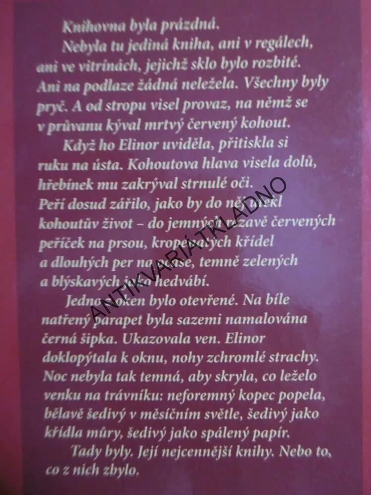INKOUSTOVÉ SRDCE, CORNELIA FUNKEOVÁ