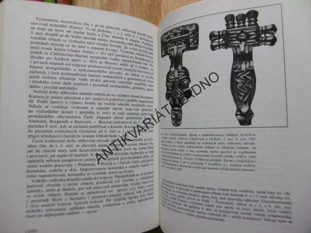 DĚJINY PRAVĚKÉ EVROPY, BUCHVALDEK, **an