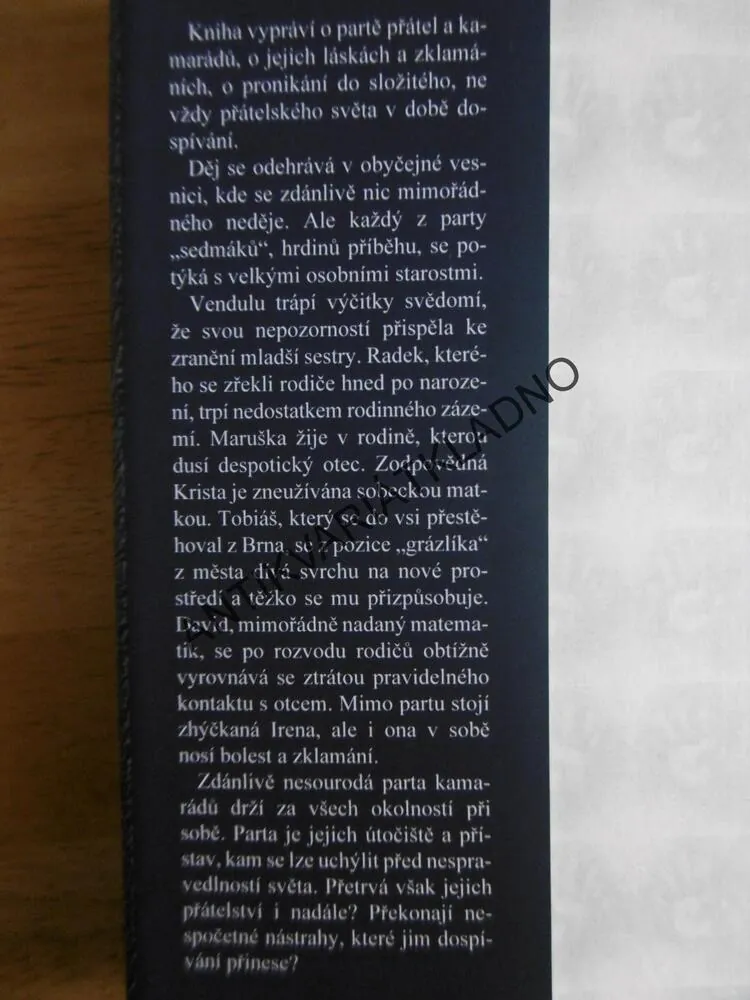 ROMÁN PRO DÍVKY, PETRA VAISOVÁ, **an