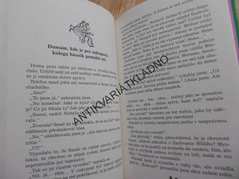 NA CO SE RÝMUJE LÁSKA? SABINE BOTHOVÁ, **an