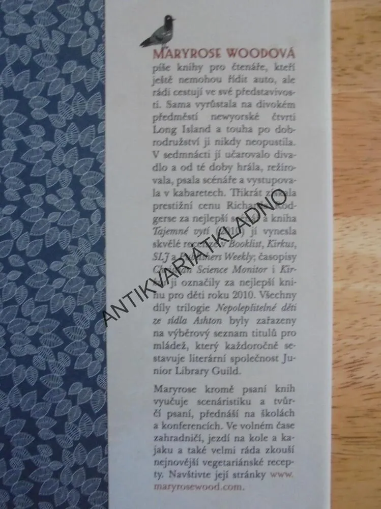 NEPOLEPŠITELNÉ DĚTI ZE SÍDLA ASHTON,UTAJENÁ OBRAZÁRNA, WOODOVÁ , **an