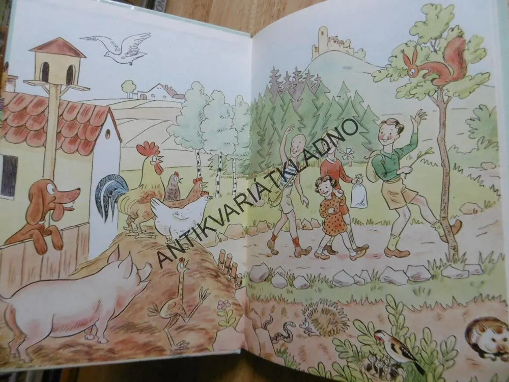 KUŘE NAPIPI A JEHO PŘÁTELÉ, SEKORA, 1973, **an