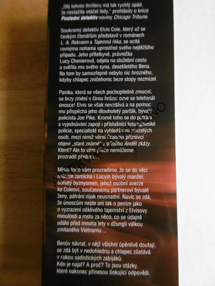 POSLEDNÍ DETEKTIV, ROBERT CRAIS