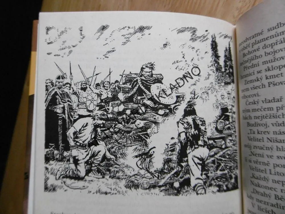 ZASTAVENÝ PŘÍVAL, EDUARD ŠTORCH, 2000, **an