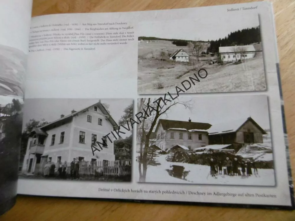 DEŠTNÉ V ORLICKÝCH HORÁCH NA STARÝCH POHLEDNICÍCH