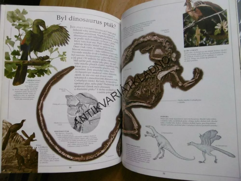 DINOSAUŘI, VIDĚT, POZNAT, VĚDĚT, **an