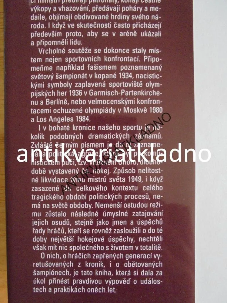 ZAPŘENÉ GENERACE, OBĚTOVANÍ ŠAMPIONI, HOKEJ, MACKŮ, **an