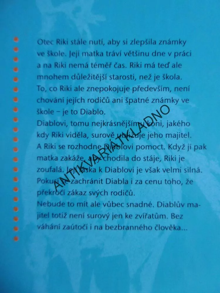 DIABLO MŮJ VYSNĚNÝ KŮŇ, GABI ADAM, **an