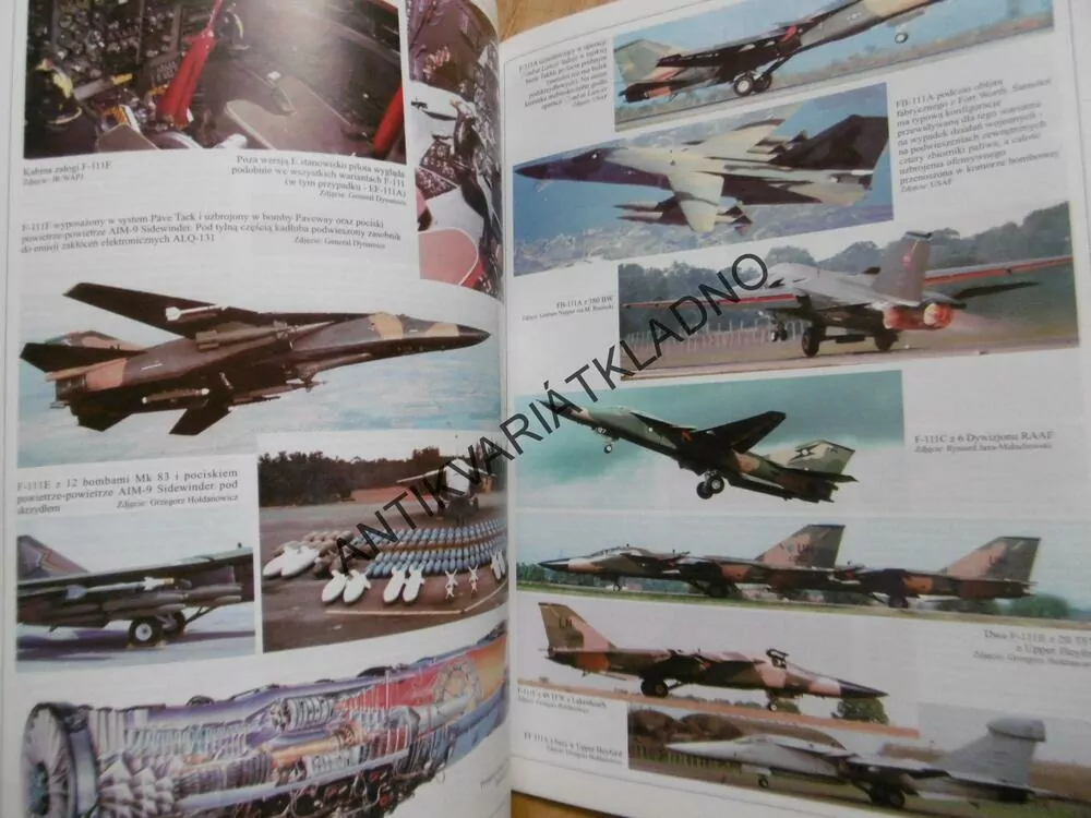F-111, STÍHAČKA, LETADLO, POLSKY
