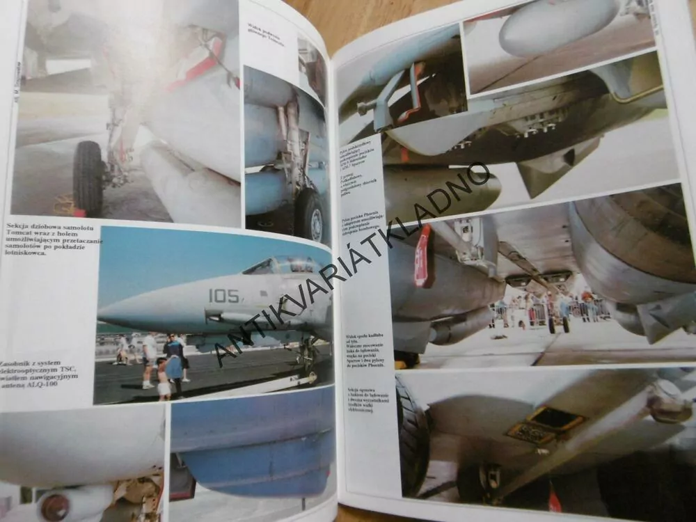 F-14, STÍHAČKA, LETADLO, POLSKY
