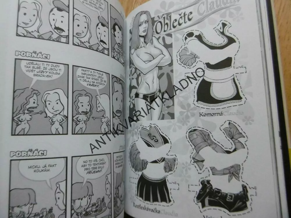 JAK SI NAHRABAT JAKO PORNO HVĚZDA, NEIL STRAUSS, BERNARD CHANG