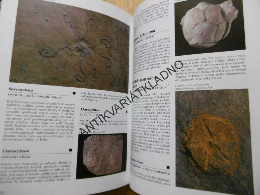 ENCYKLOPEDIE ZKAMENĚLIN, IVANOV, HRDLIČKOVÁ, GREGOROVÁ