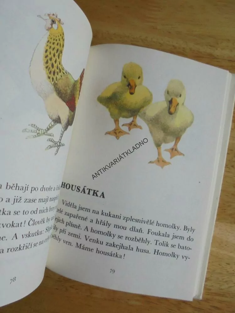 VĚCI,KVĚTINY,ZVÍŘÁTKA A LIDÉ PRO DĚTI,VÍTĚZSLAV NEZVAL,JIŘÍ TRNKA, **an